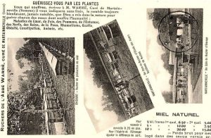 C&rsquo;était hier : Débuts apicoles et choix d’un type de ruche …