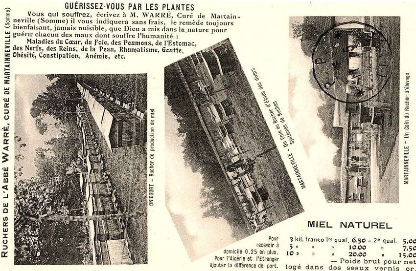 C&rsquo;était hier : Débuts apicoles et choix d’un type de ruche …