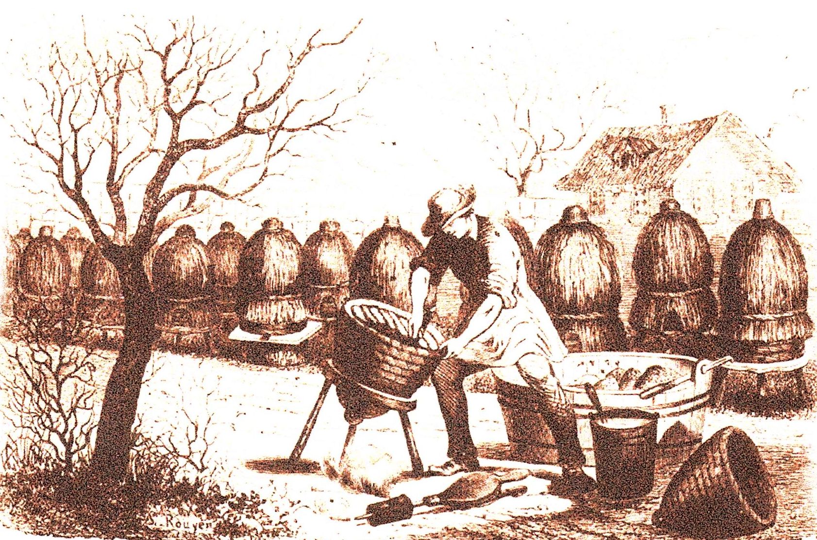 C&rsquo;était hier : De la ruche-panier au pot de miel …