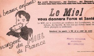 C’était hier : Du miel sous le plancher