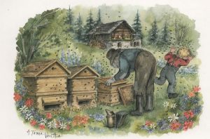 C’était hier : L’apprenti apiculteur