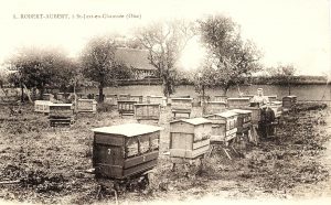 C’était hier : Vente aux enchères et ruche “de Layens”