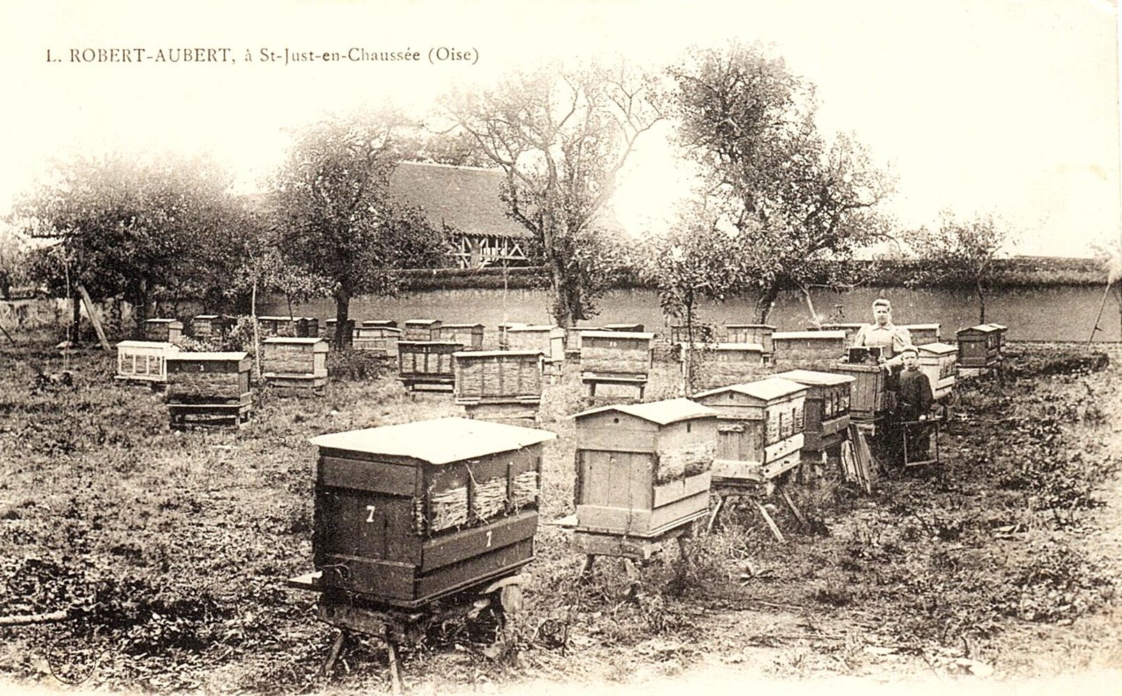 C’était hier : Vente aux enchères et ruche “de Layens”
