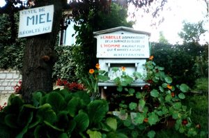 C&rsquo;était hier : Einstein et les abeilles …