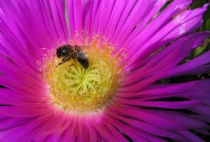 C’était hier : Il y a 14 ans …