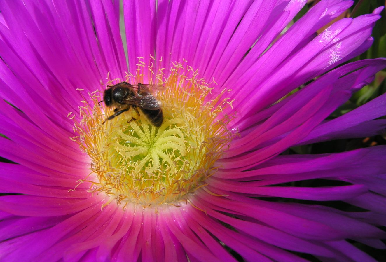 C’était hier : Il y a 14 ans …