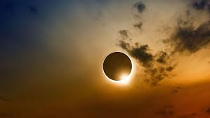 C’était hier :  Eclipse totale et abeilles …